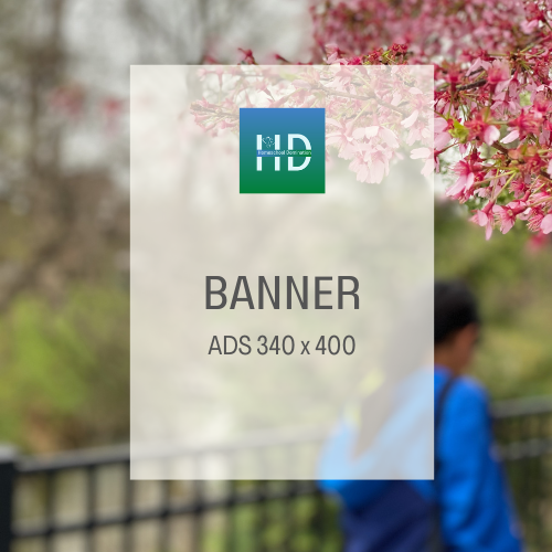 Banner Ads Placeholder 340 x 400