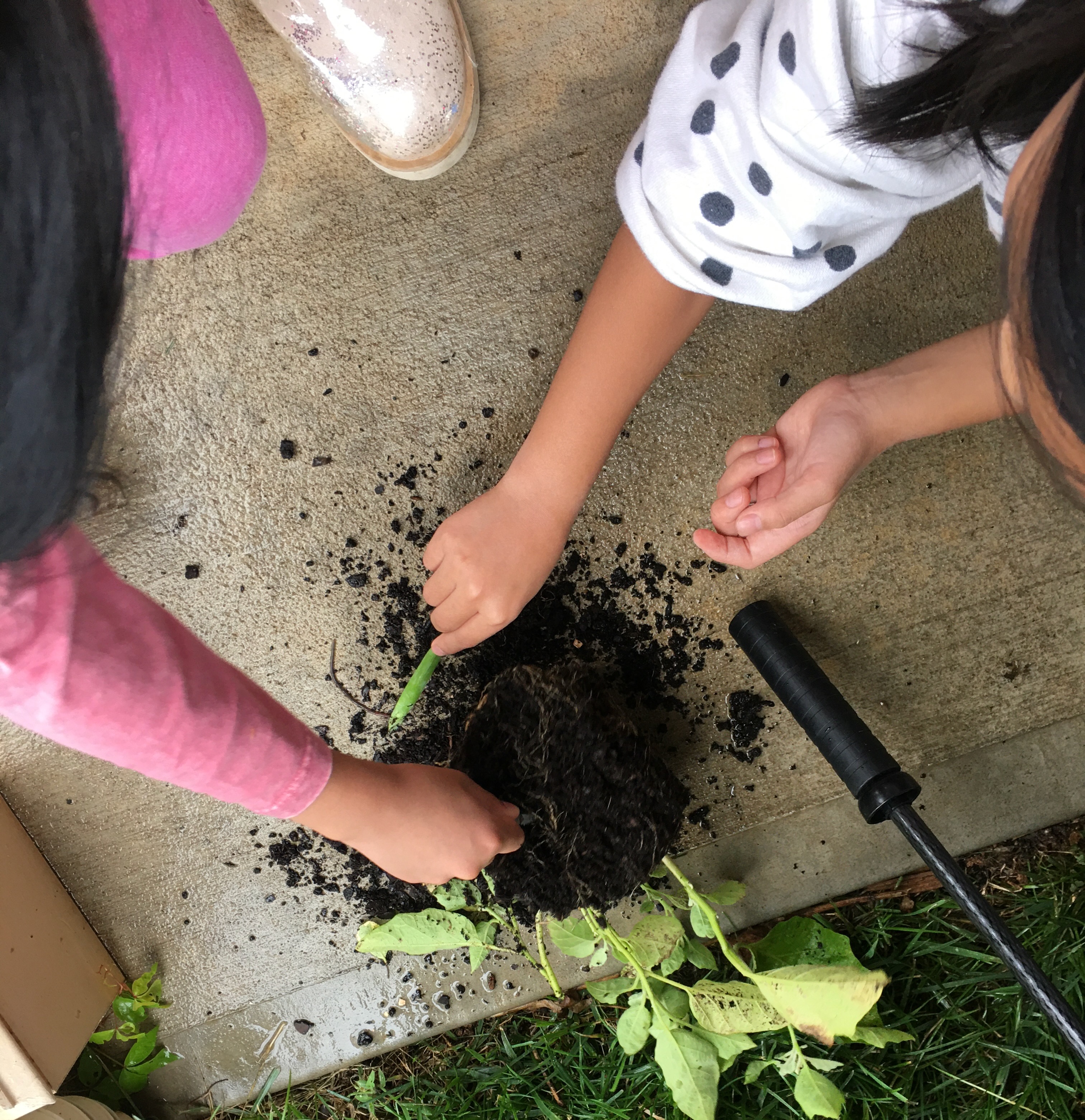 Two kids working on soil