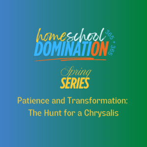 Patience and Transformation: The Hunt for a Chrysalis