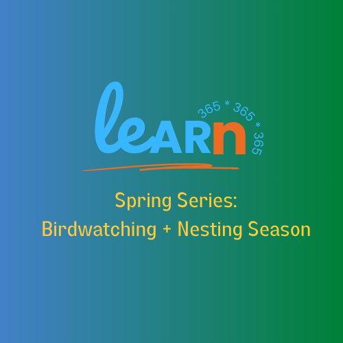 Learn-365-Birdwatching-and-Nesting-Season