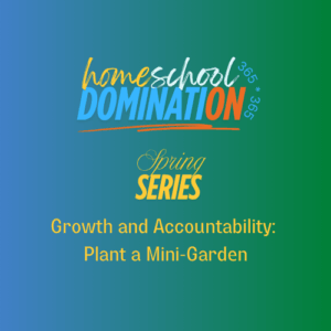 Growth and Accountability: Plant a Mini Garden