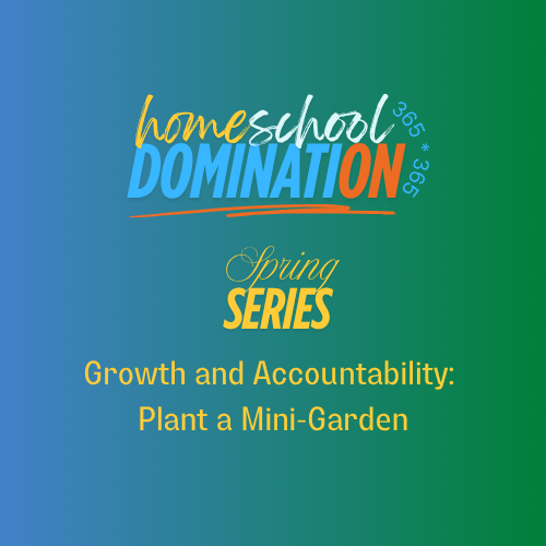 Growth and Accountability: Plant a Mini Garden