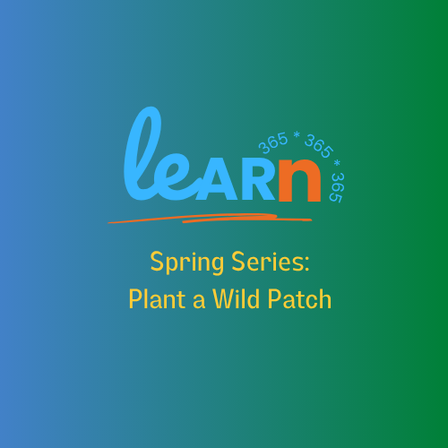 Learn-365-Spring-Series-Plant-A-Wild-Patch