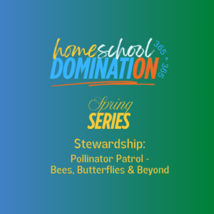 Stewardship: Pollinator Patrol – Bees, Butterflies & Beyond