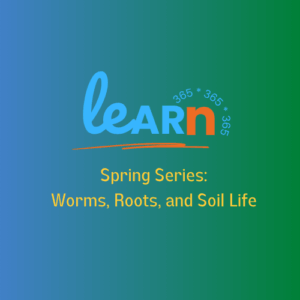Learn-365-Worms-Root-Soil-Life